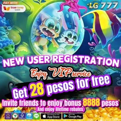 6566 6566
