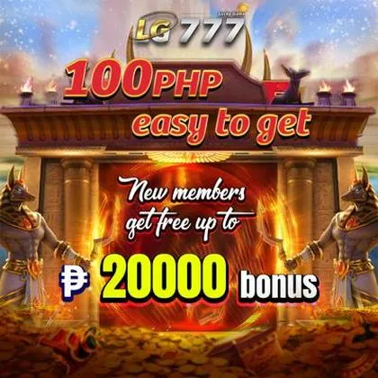 6566 6566