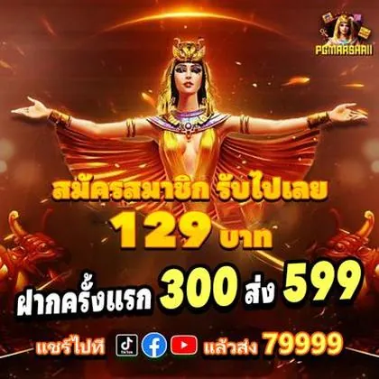 6566 6566